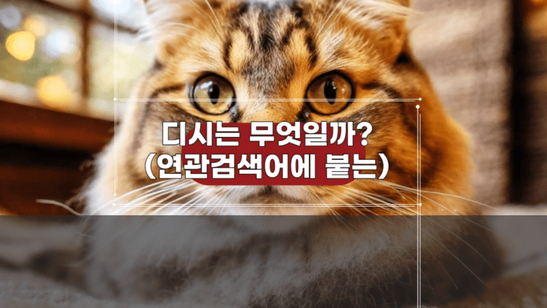 디시는 무엇일까_ (연관검색어에 붙는)-001