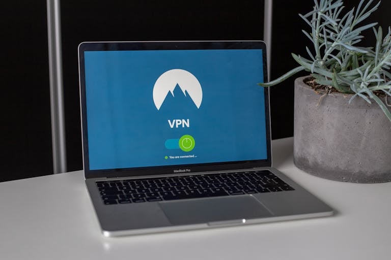 Laptop with NoardVPN screen and a succulent plant on a desk, emphasizing online privacy and security.