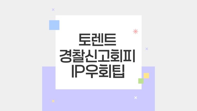 토렌트 경찰신고 회피 IP우회 팁